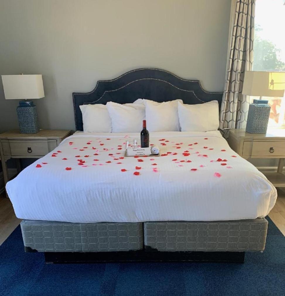 Ocean View King Bed Private Balcony